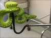2003 9 snakesmuggle