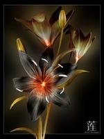 Black Flower