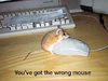   funny mouses