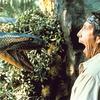 Anaconda