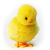 Chick