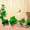 Climbing ivy