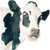 Cow2