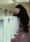 Funny animals3