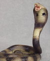 King cobra plastic puzzle 403d1
