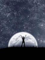 Moonhowl