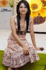 Prachi desai wallpaper.preview
