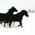 Snow runners